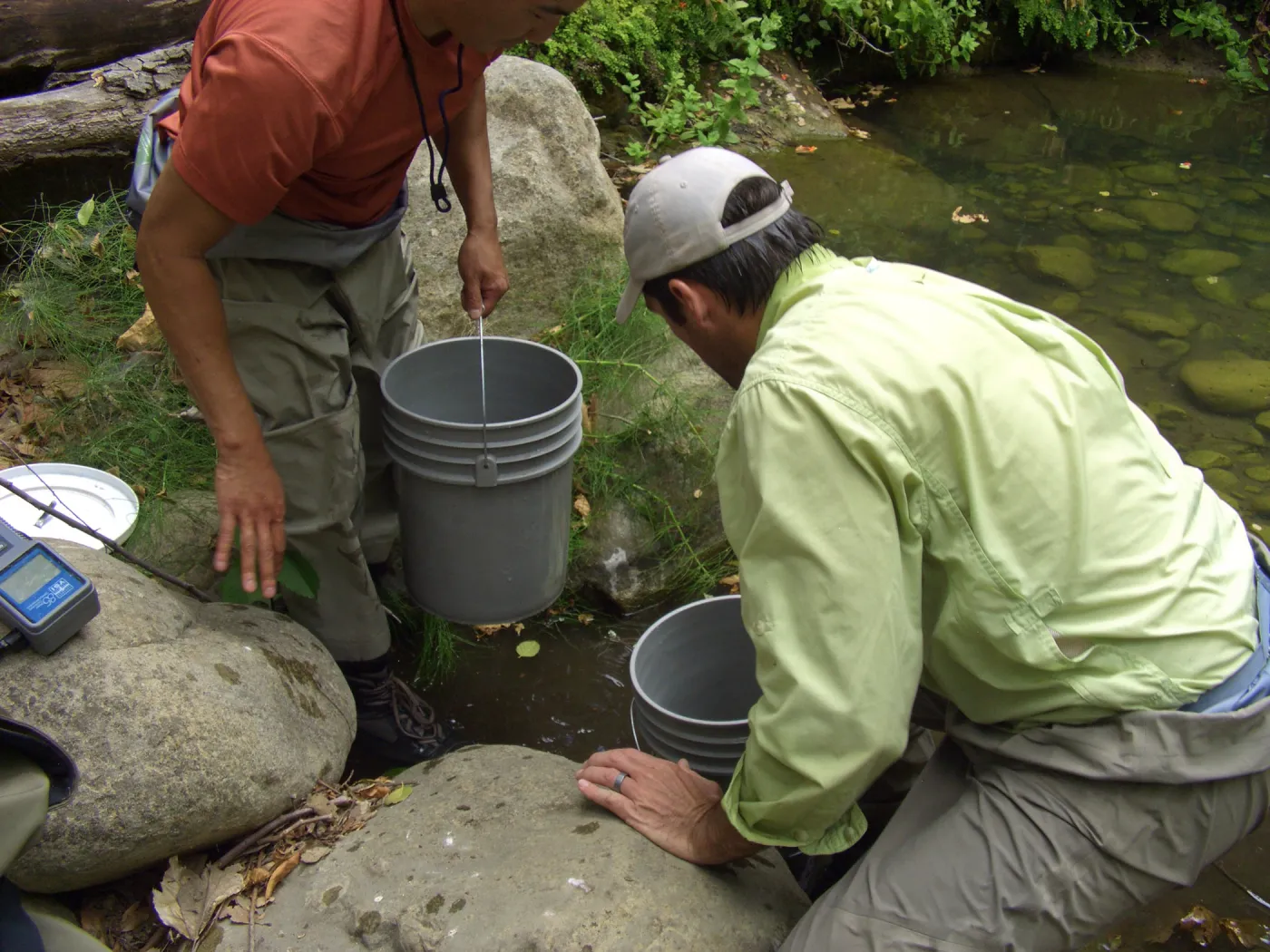 Steelhead trout release below Mission Dam. Releasing the smaller fish.