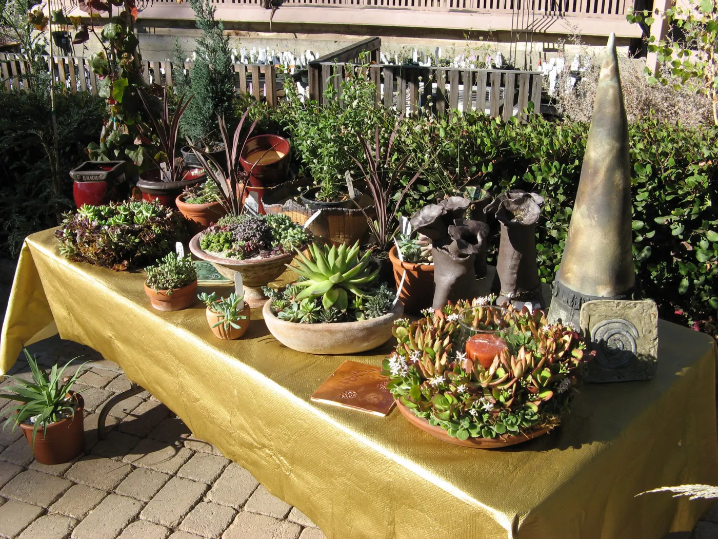 succulent dish gardens, SBBG Holiday Marketplace, 2006