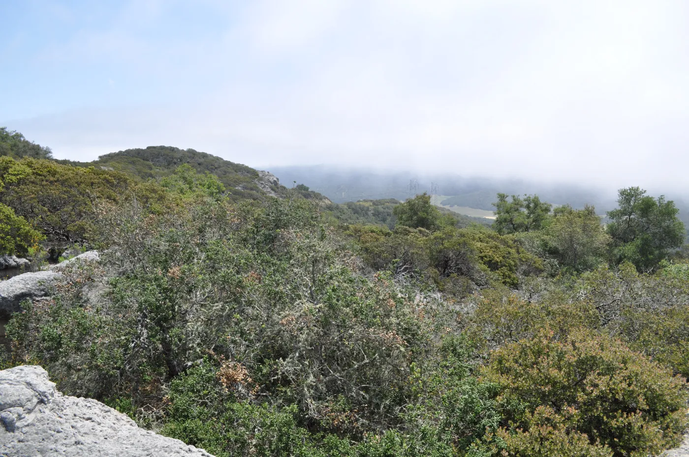 Garden field trip to Indian Knob, San Luis Obispo county