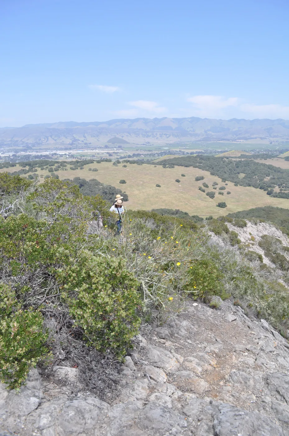 Garden field trip to Indian Knob, San Luis Obispo county