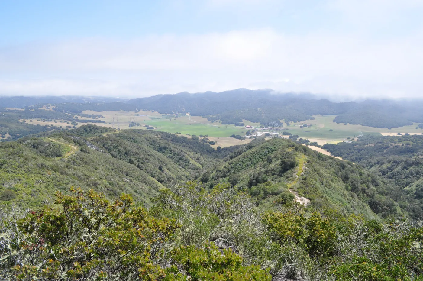 Garden field trip to Indian Knob, San Luis Obispo county