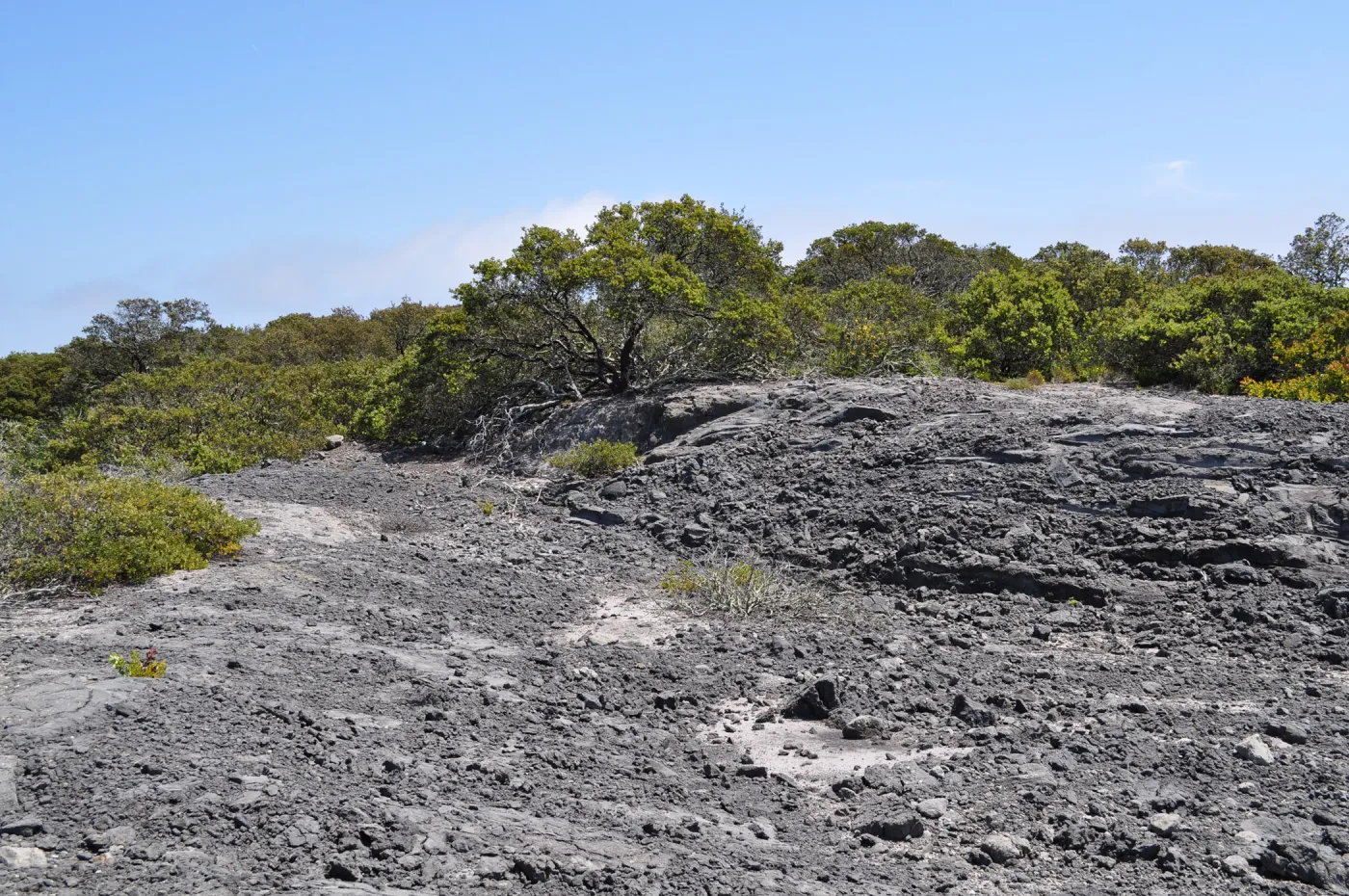 Garden field trip to Indian Knob, San Luis Obispo county