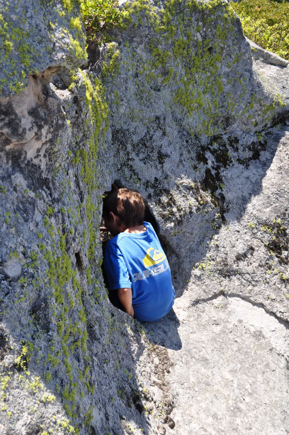 Garden field trip to Indian Knob, San Luis Obispo county