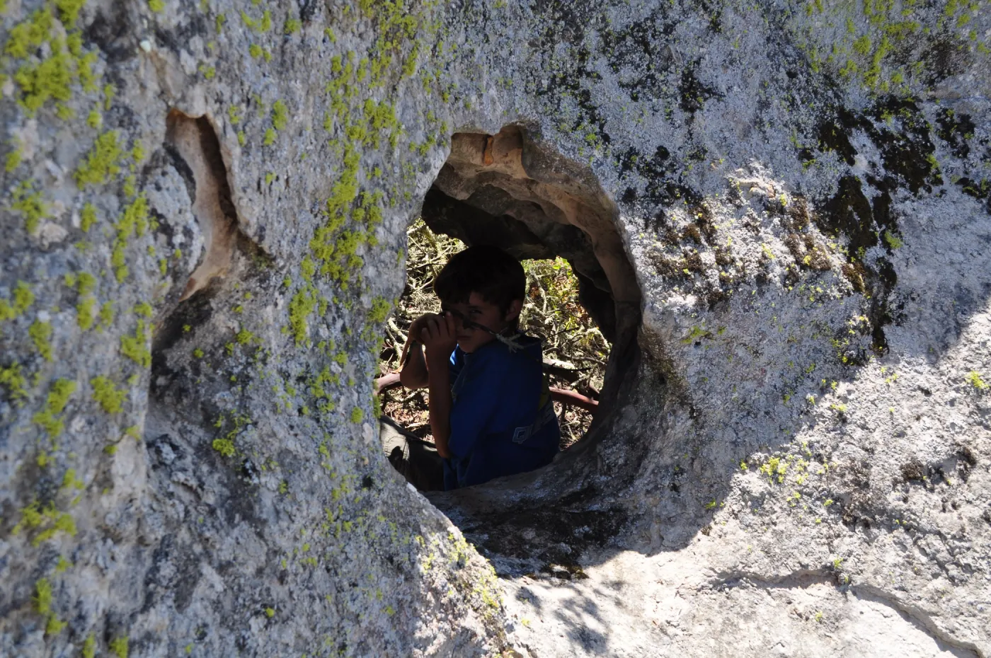 Garden field trip to Indian Knob, San Luis Obispo county
