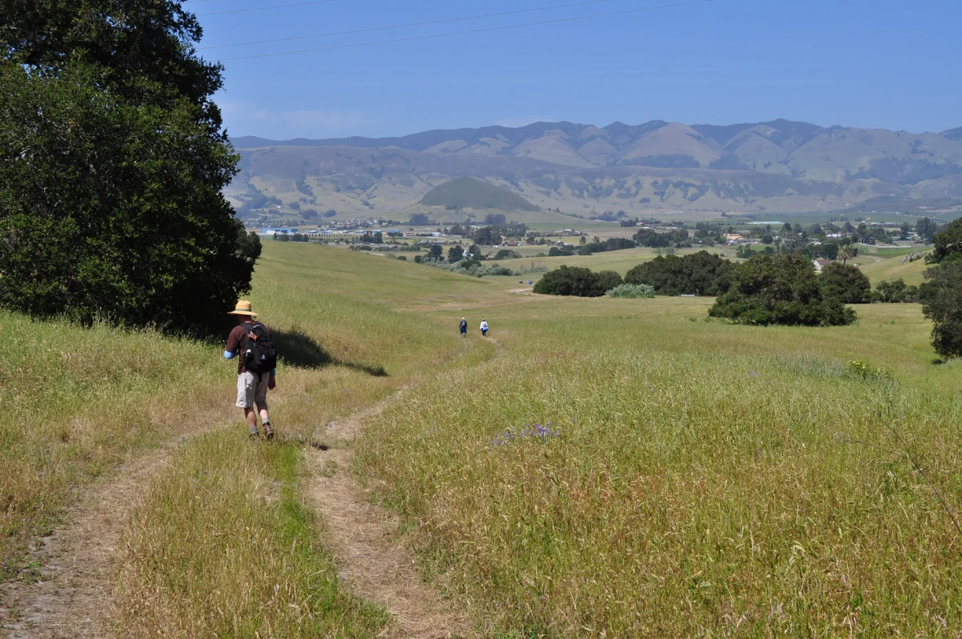 Garden field trip to Indian Knob, San Luis Obispo county
