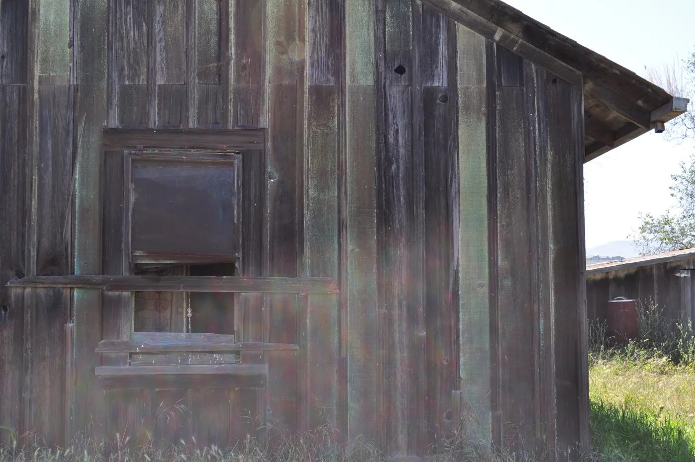Garden field trip to Indian Knob, San Luis Obispo county
