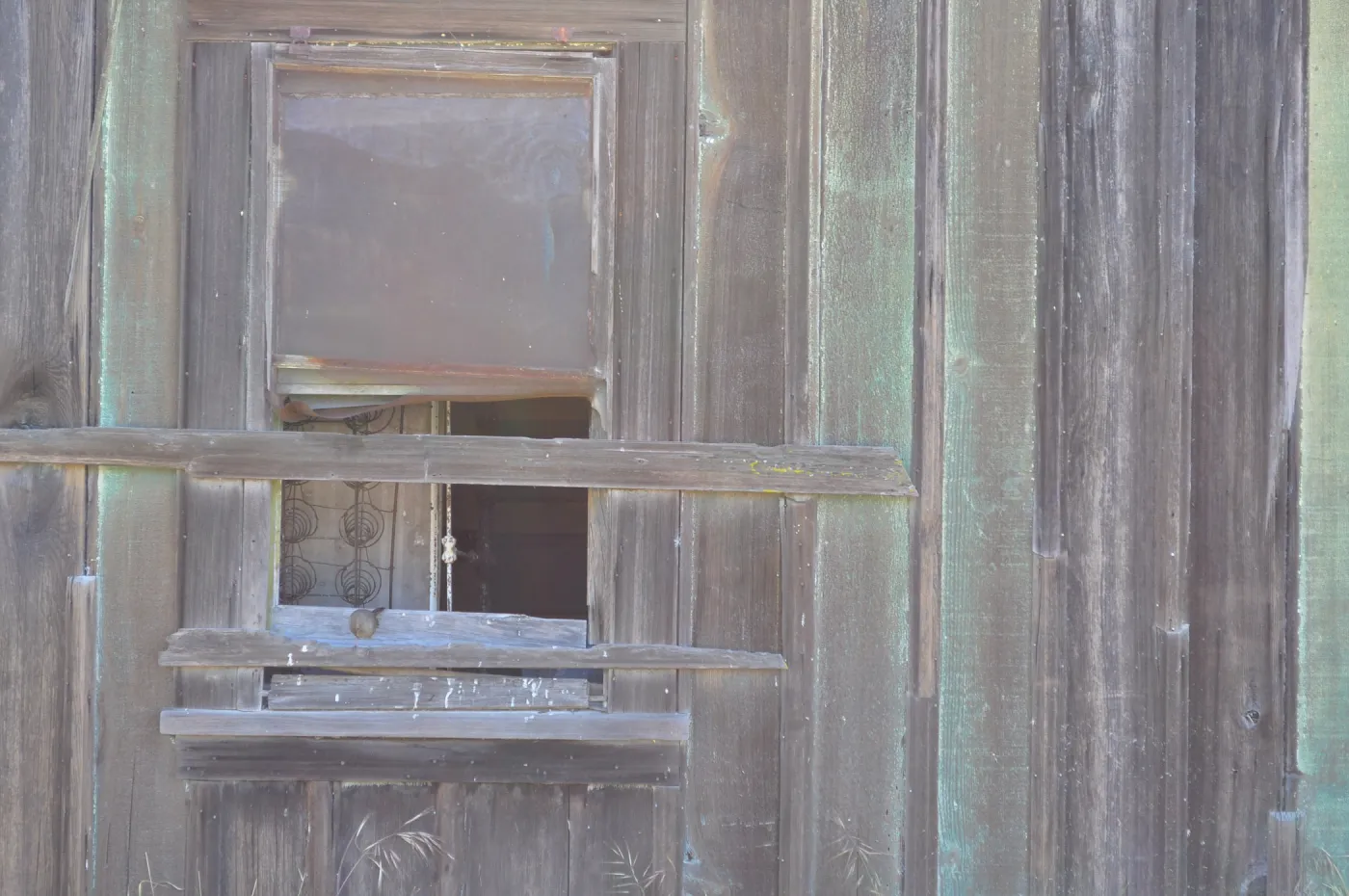 Garden field trip to Indian Knob, San Luis Obispo county