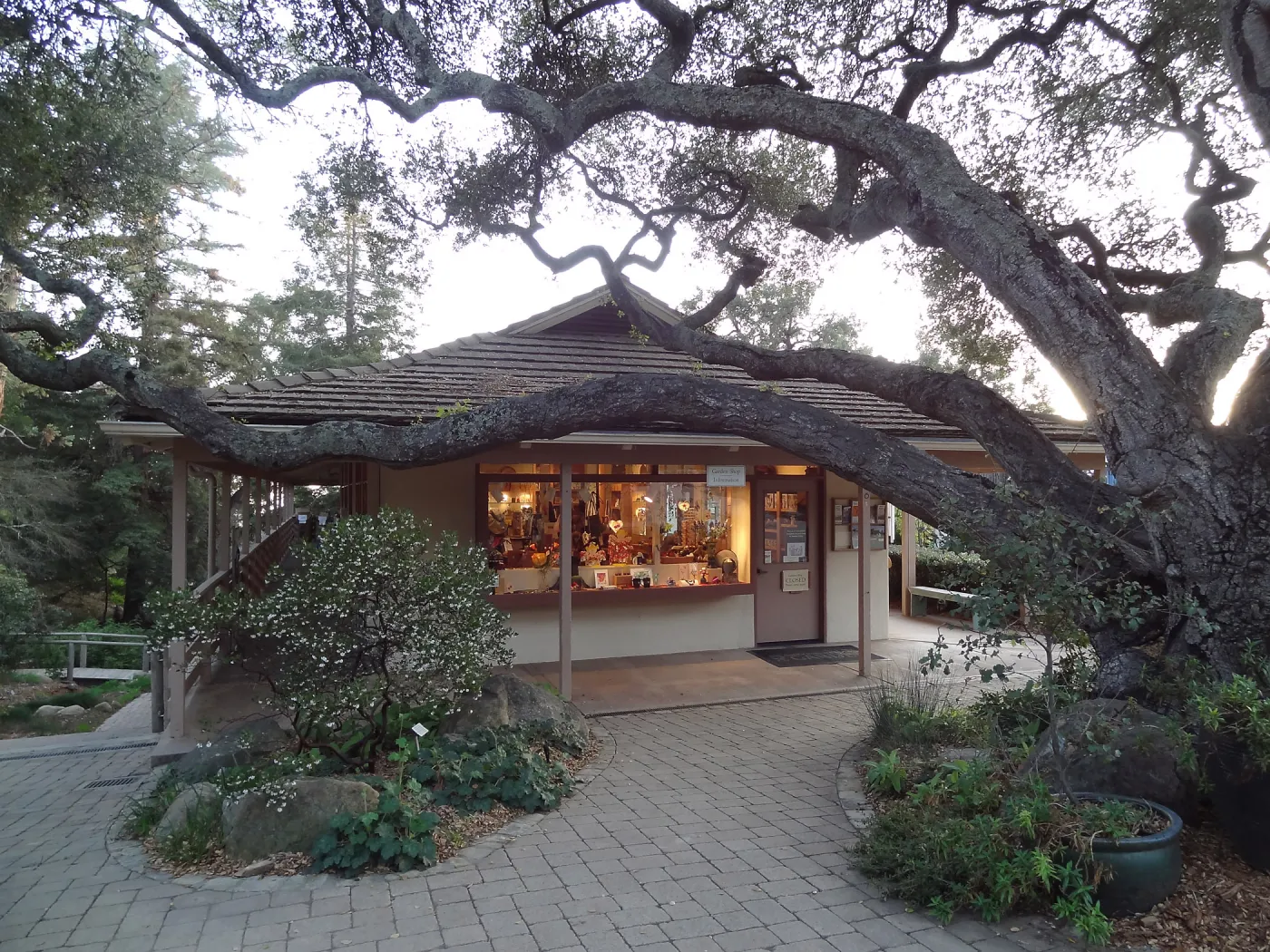 Garden Shop, entrance oak, Spring in the Garden, February 2013, SBBG