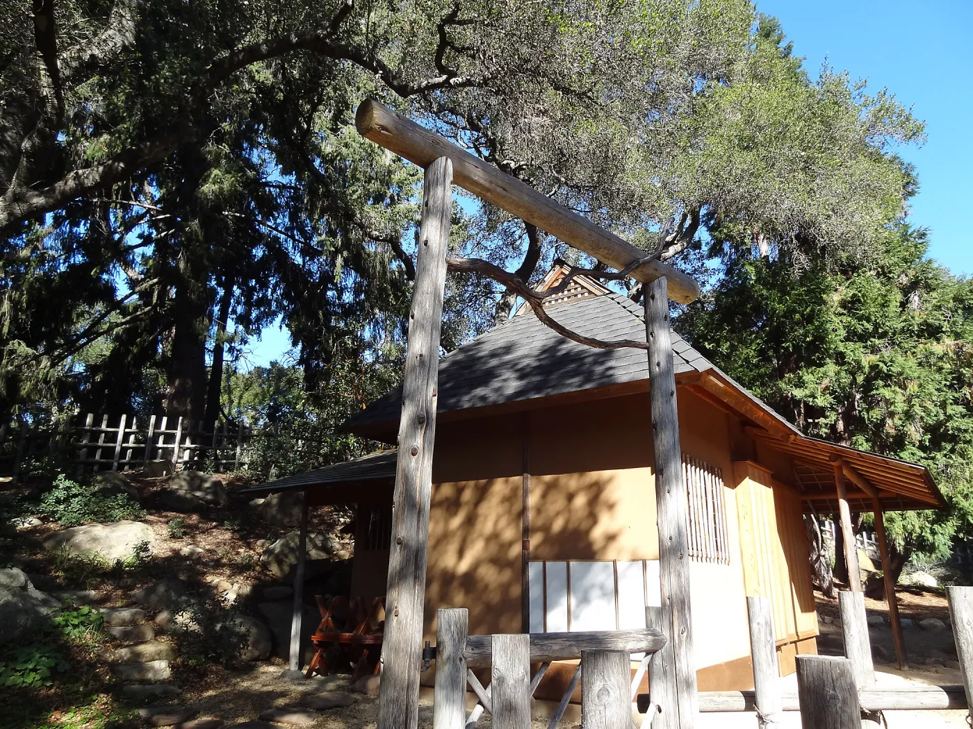 Tea House Display Garden, Spring in the Garden, February 2013, SBBG