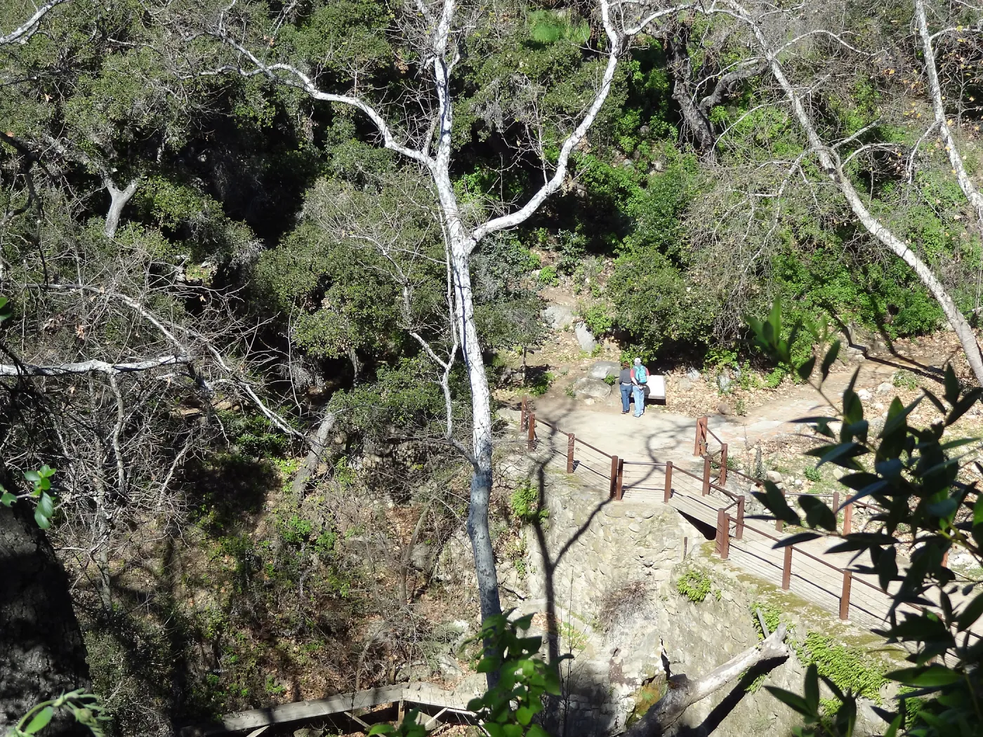 view to Mission Dam, visitors at interpretive sign, Spring in the Garden, February 2013, SBBG