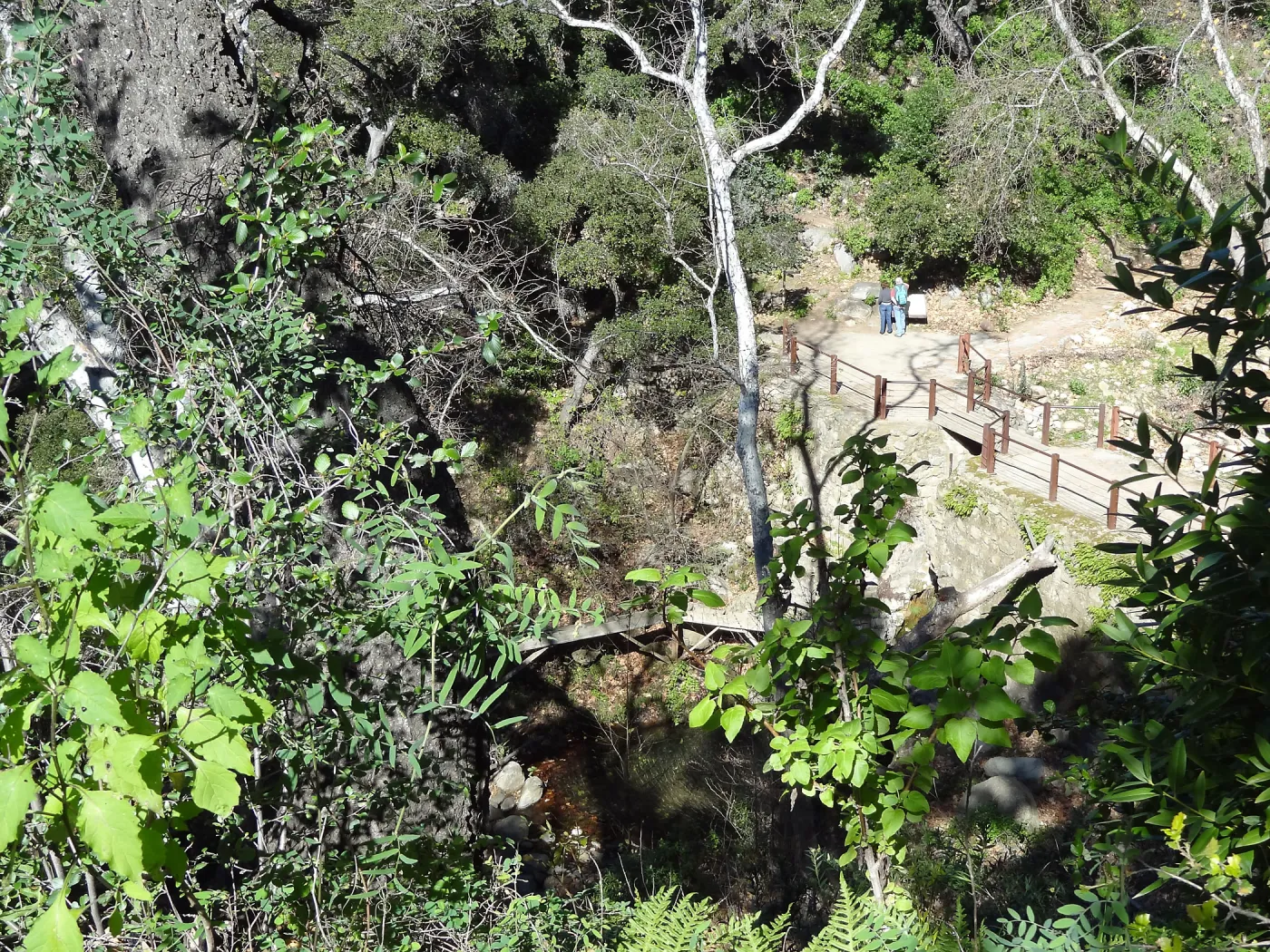 view to Mission Dam, visitors at interpretive sign, Spring in the Garden, February 2013, SBBG