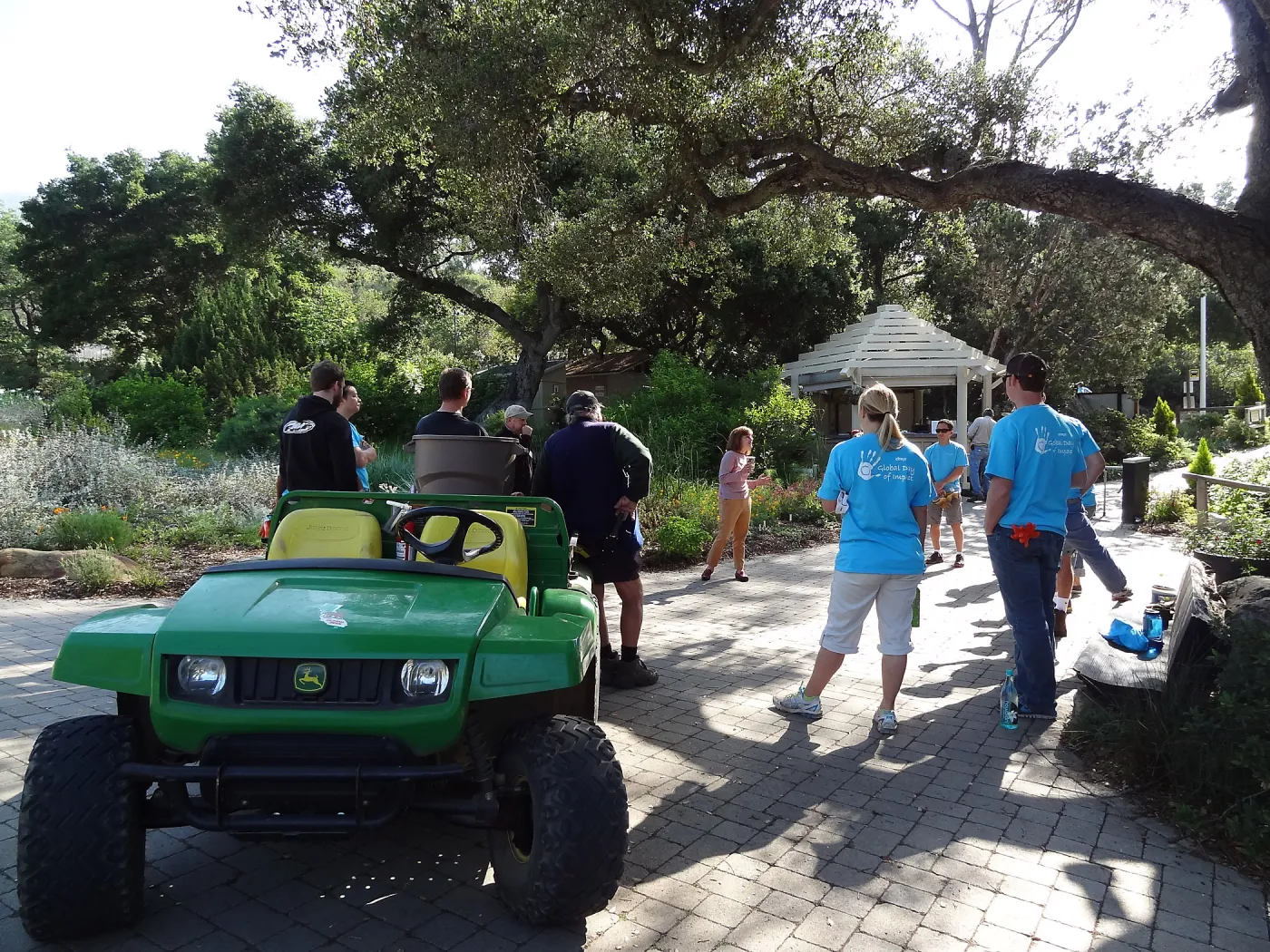 Citrix volunteers, SBBG staff, entrance oak, May 2013