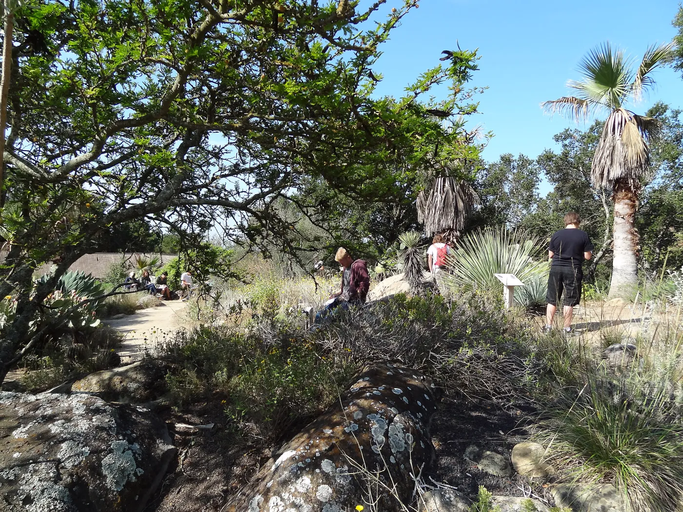 class, student group, students in the Garden, Desert Section