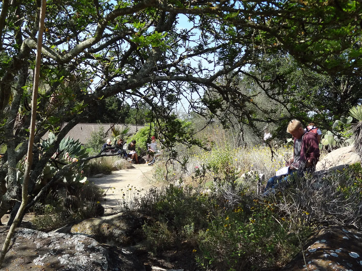 class, student group, students in the Garden, Desert Section