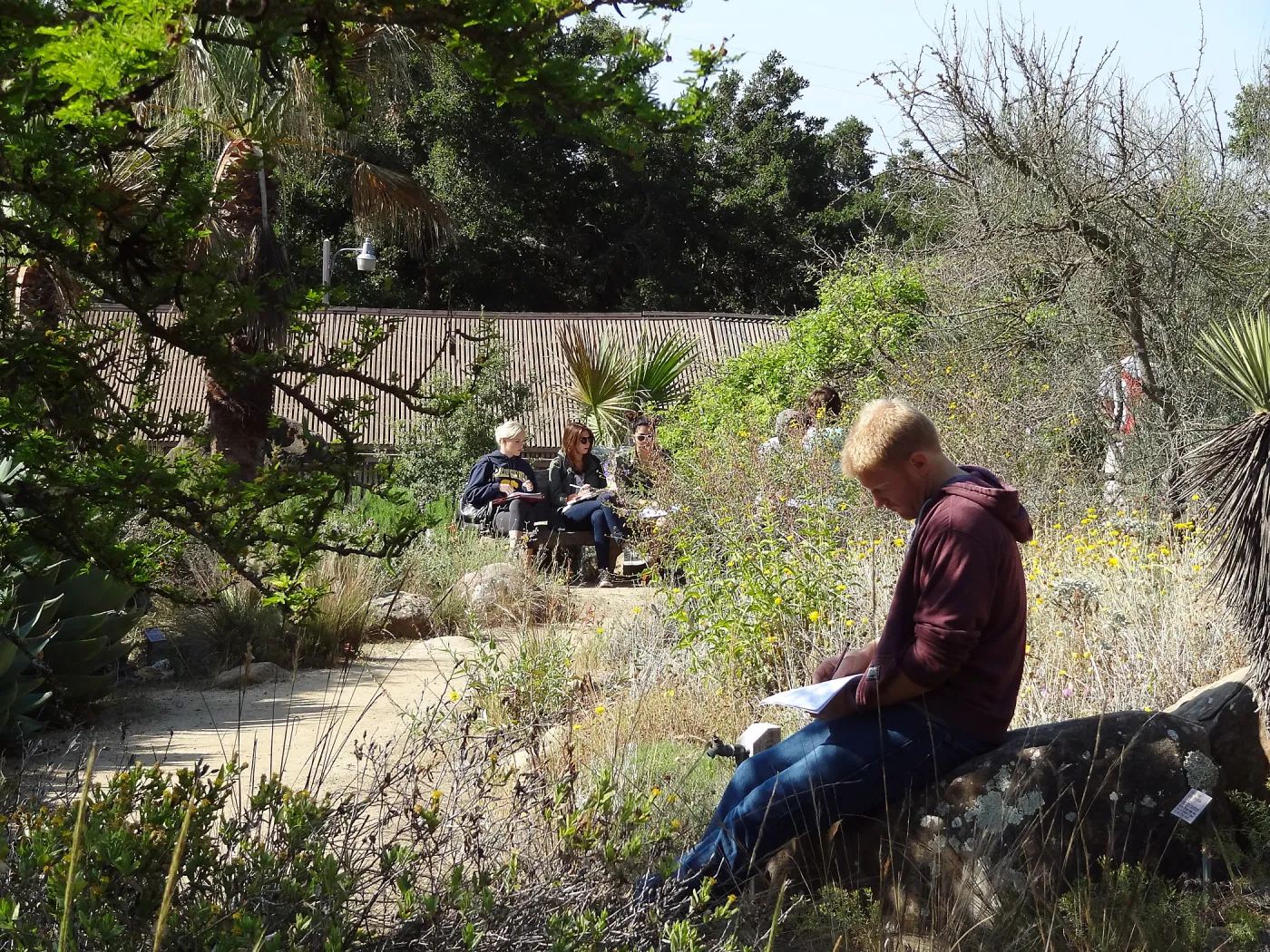 class, student group, students in the Garden, Desert Section