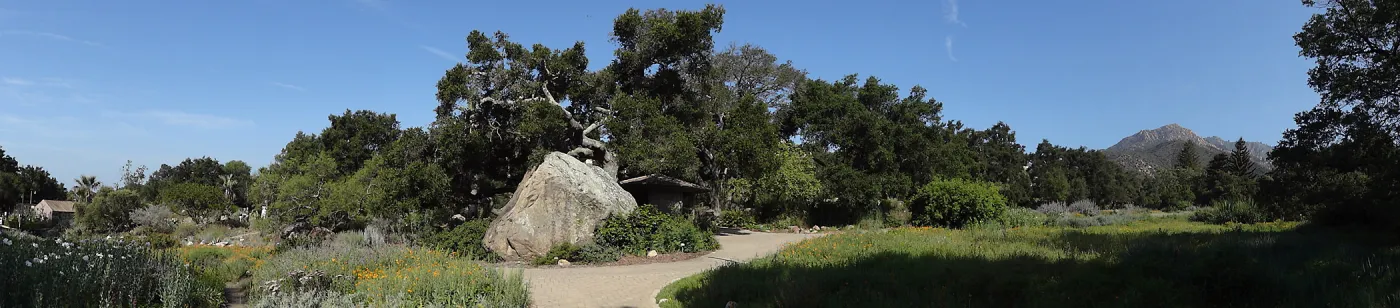 Blaksley Boulder, douglas fir is removed, May 2013, Information Kiosk, panorama