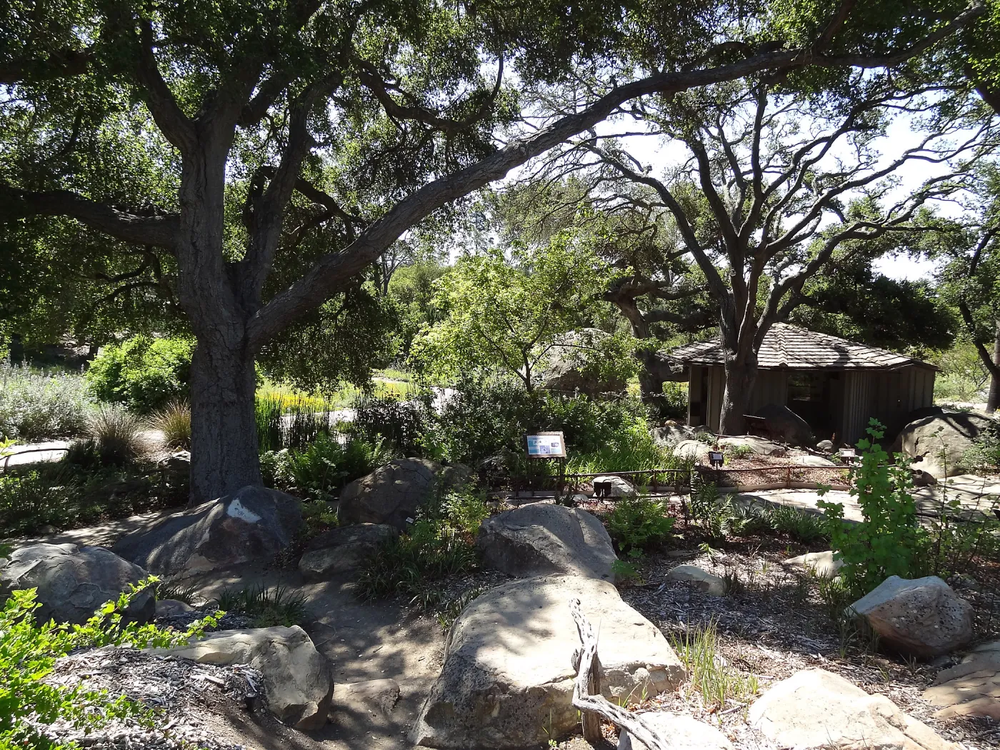 Under the Meadow Oaks, Information Kiosk, SBBG