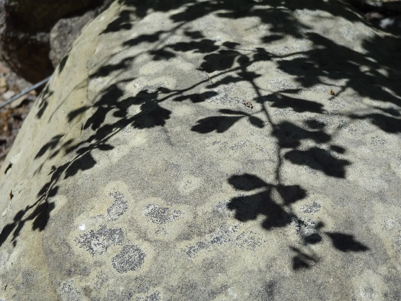 Shadow, Desert Section, sandstone boulder