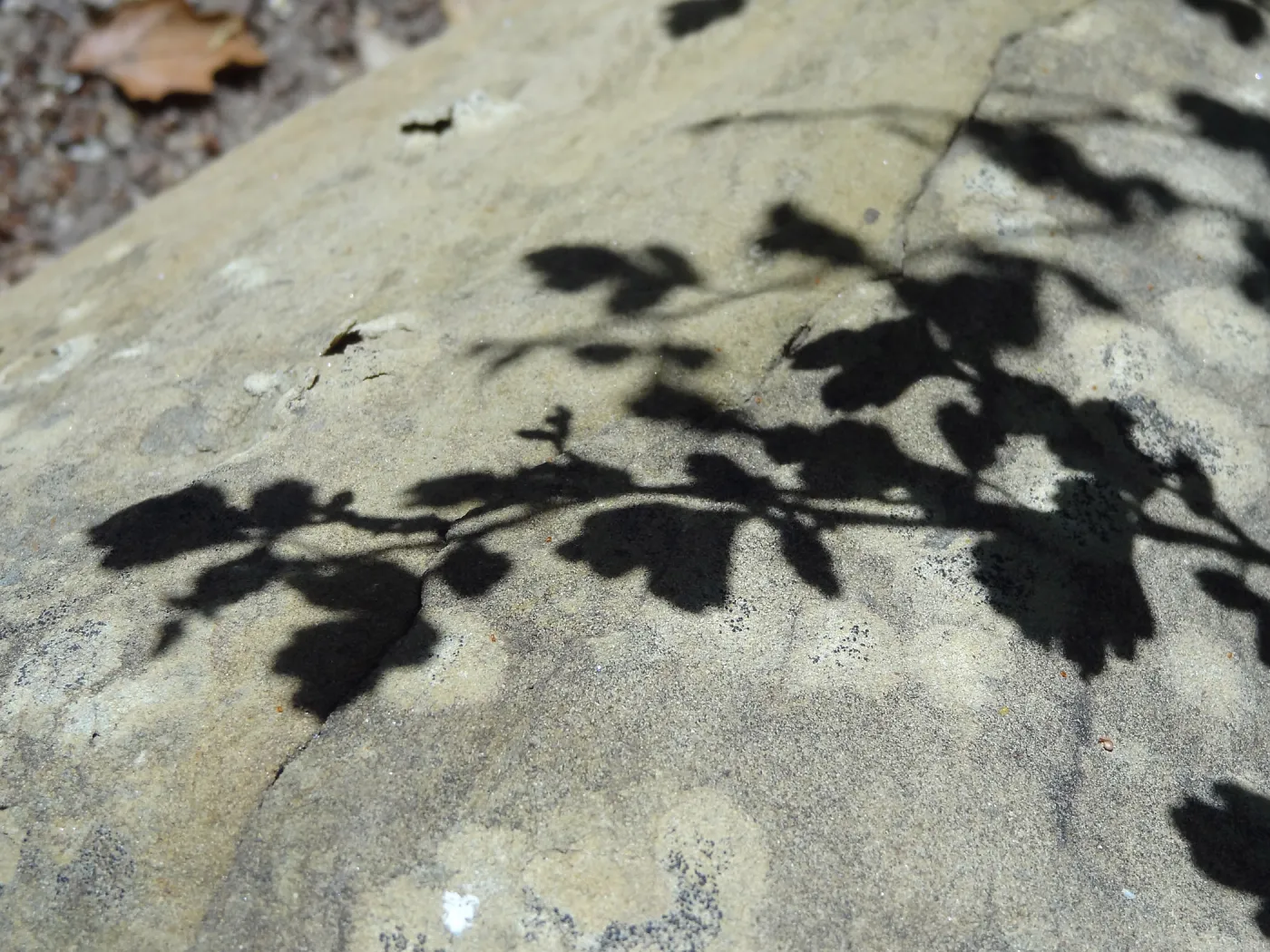 Shadow, Desert Section, sandstone boulder