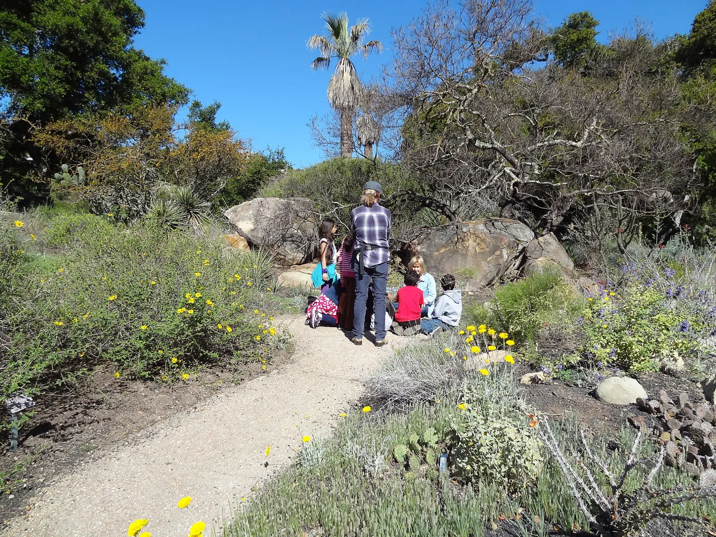 Docent with children in the Desert Section