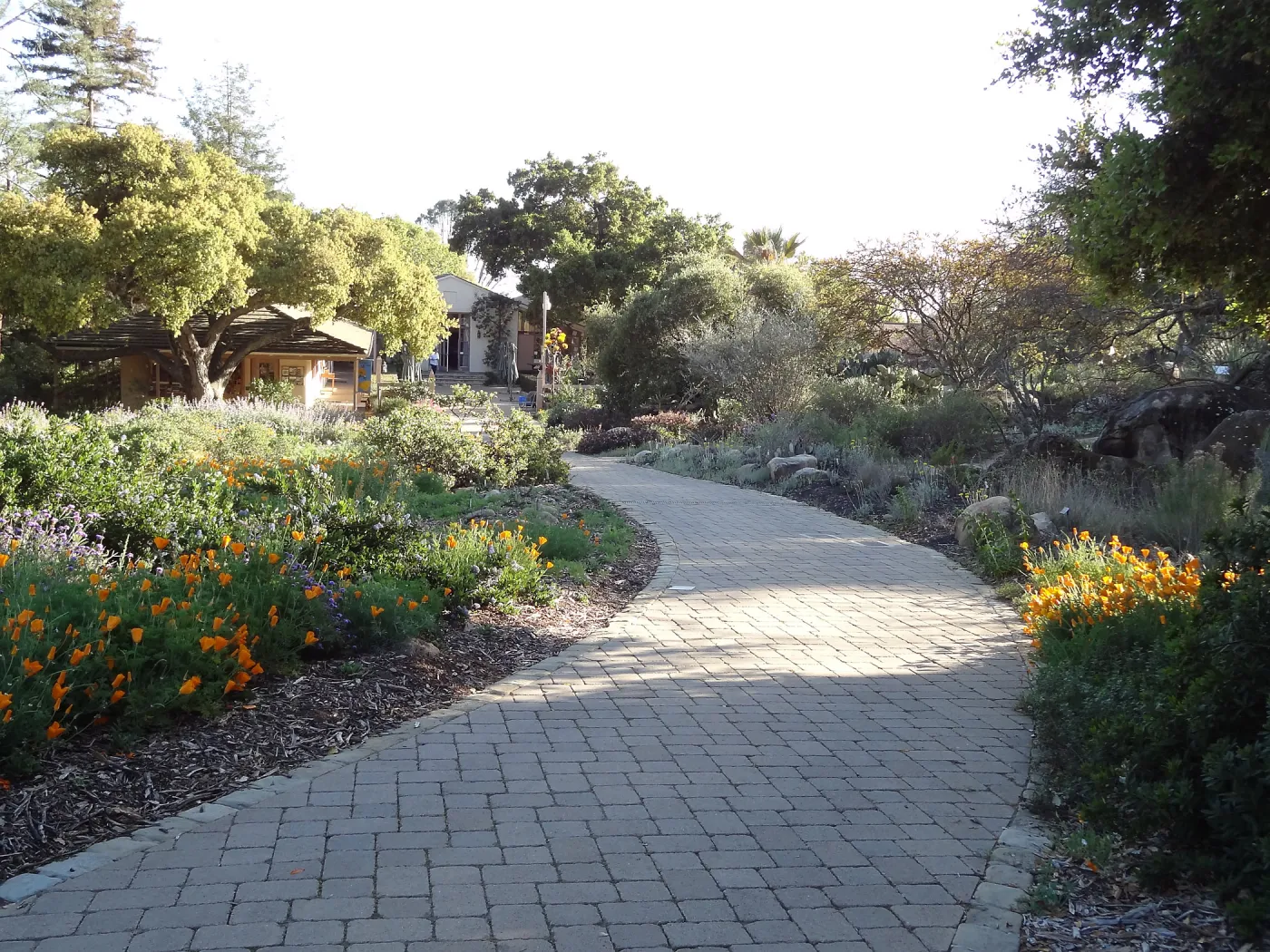Lower Meadow and pavered path leading back to the Courtyard, late afternoon sunlight