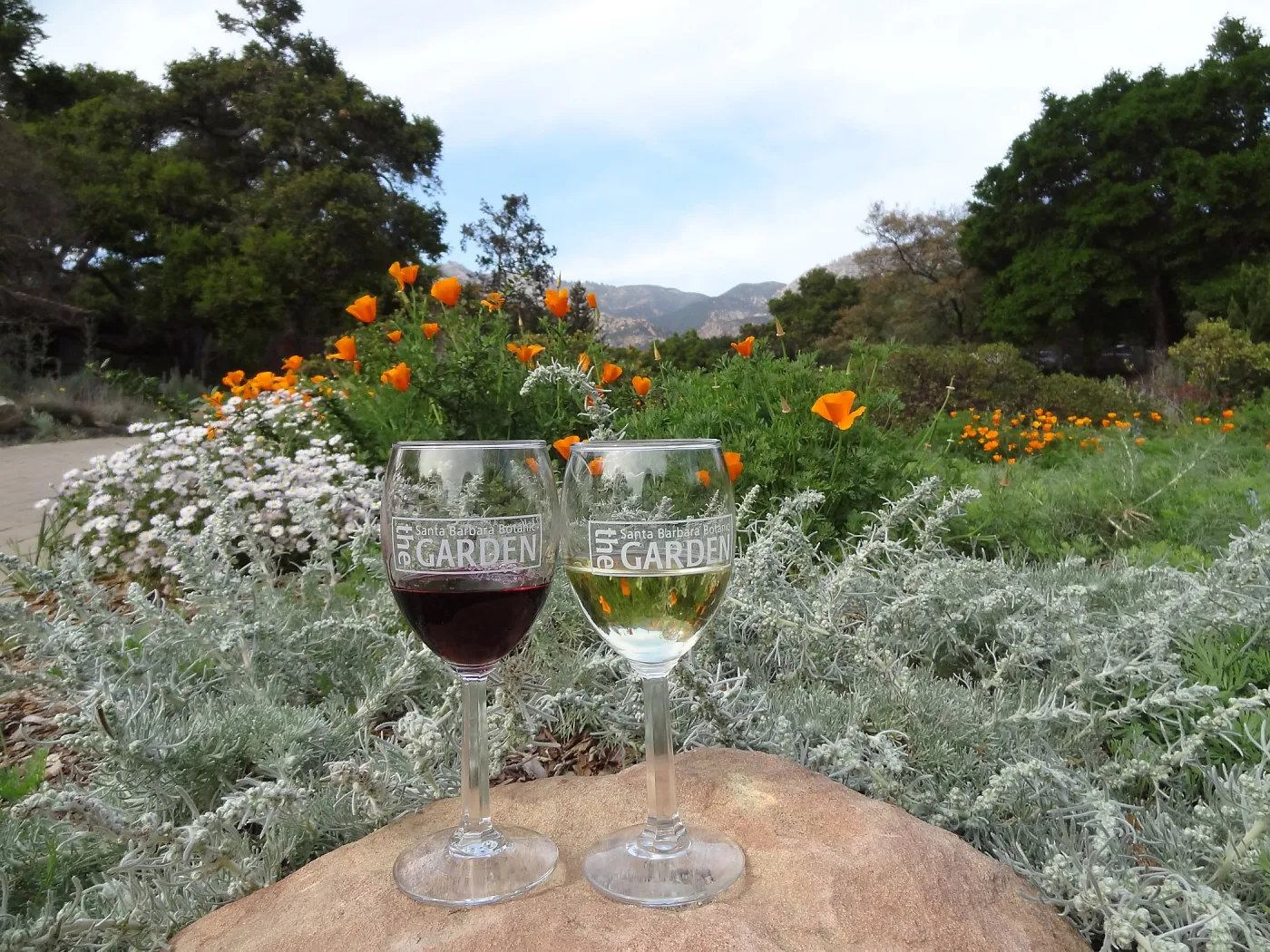 Garden wine glasses in the Meadow, reflection, wildflowers, sandstone boulder