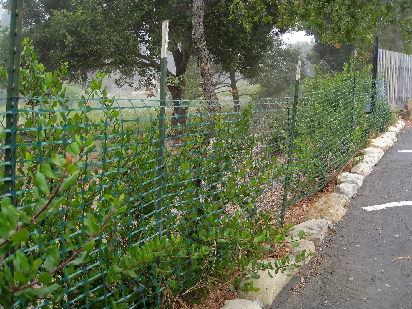 Temporary fencing along parking lot
