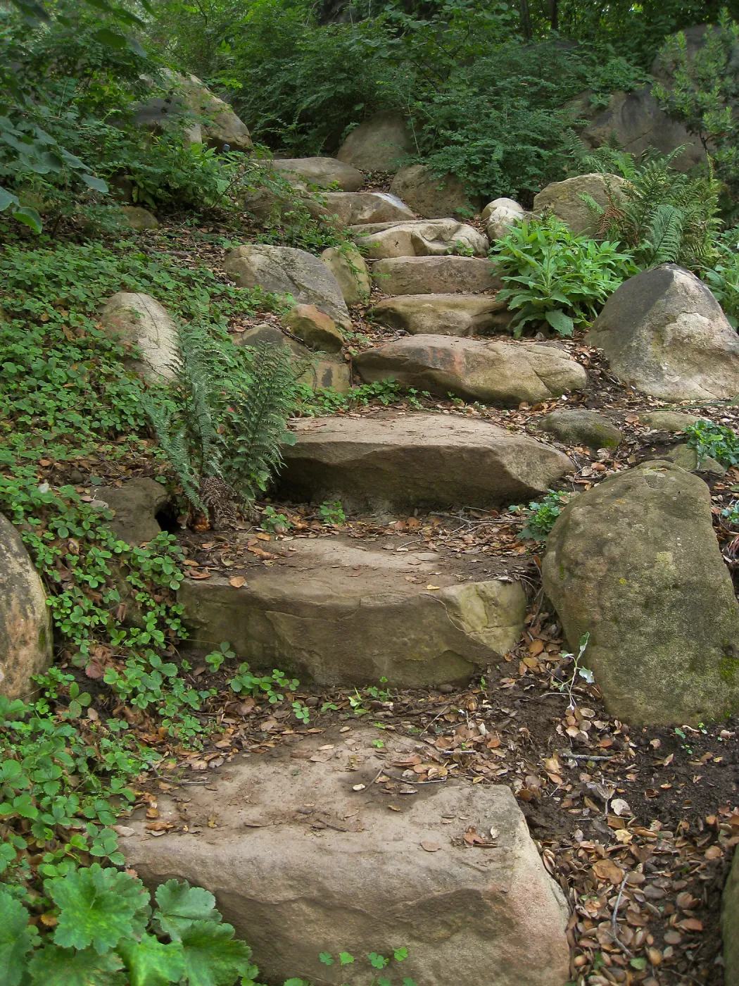 Stone steps leading from Arroyo to Manzanita Section