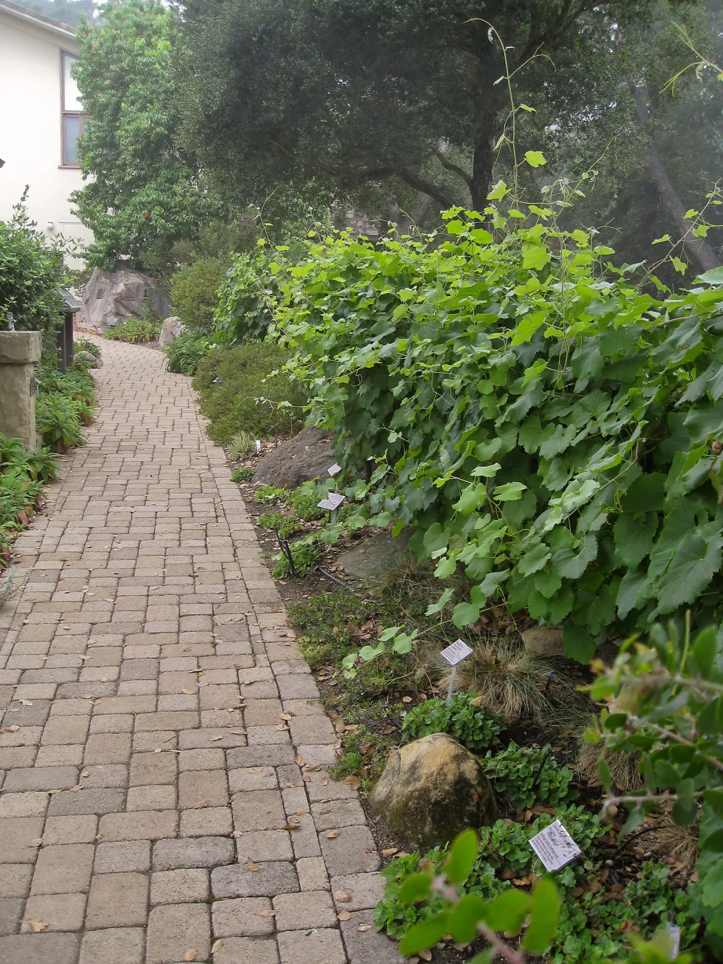 Home Demonstration Garden