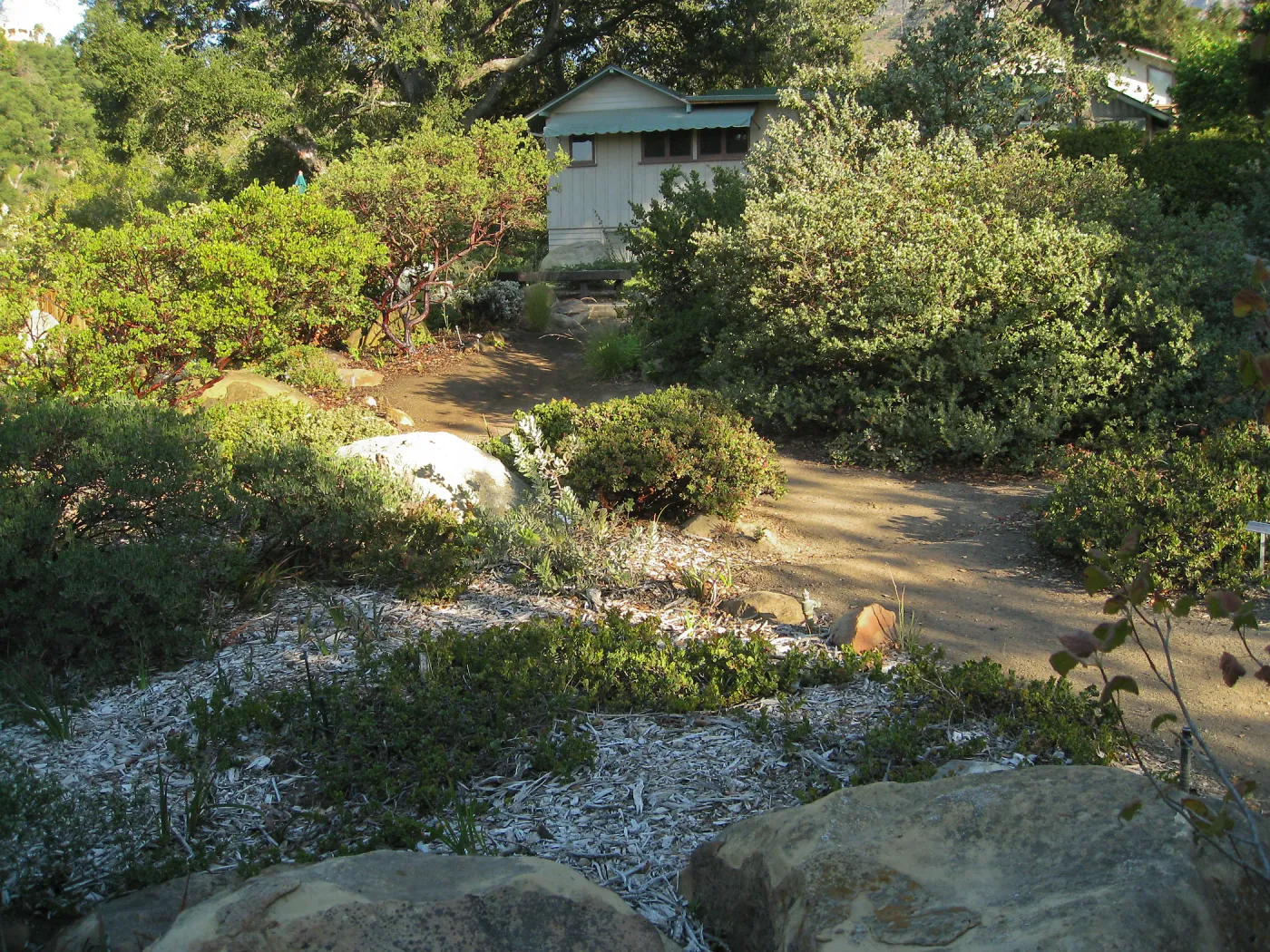 Heading towards the Home Demo Garden, SBBG