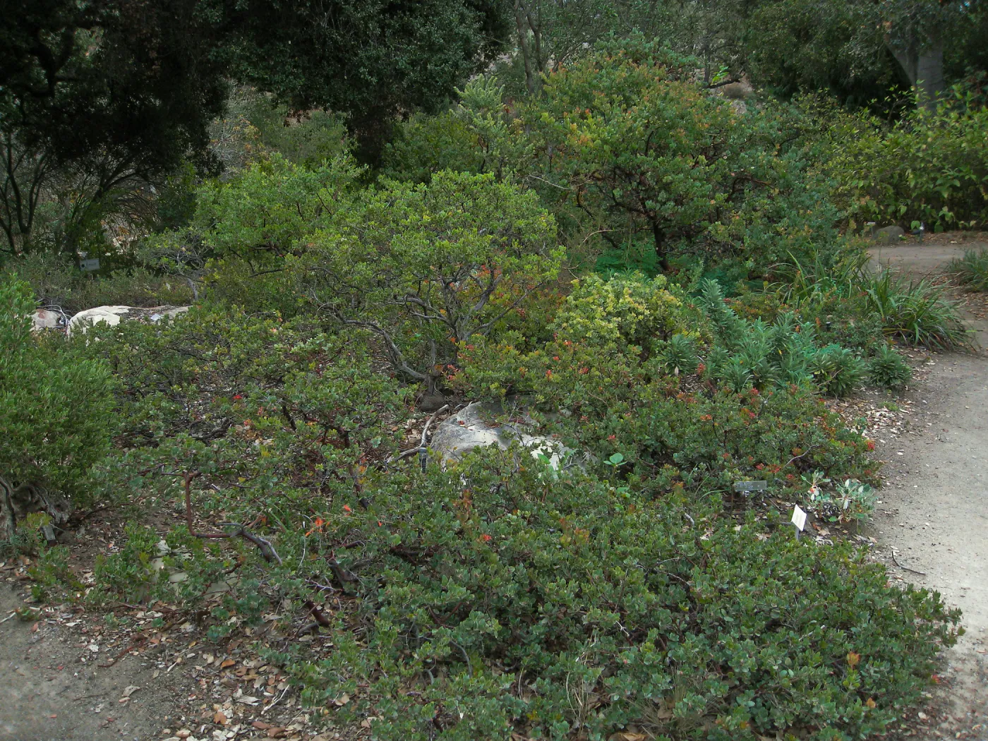 Home Demo Garden, SBGG