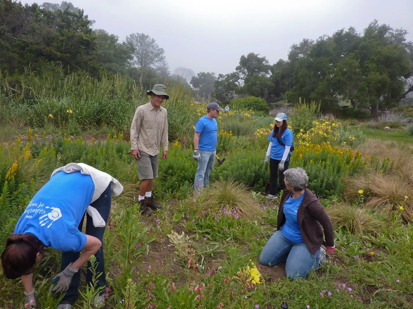 Volunteers from Citrix Corp