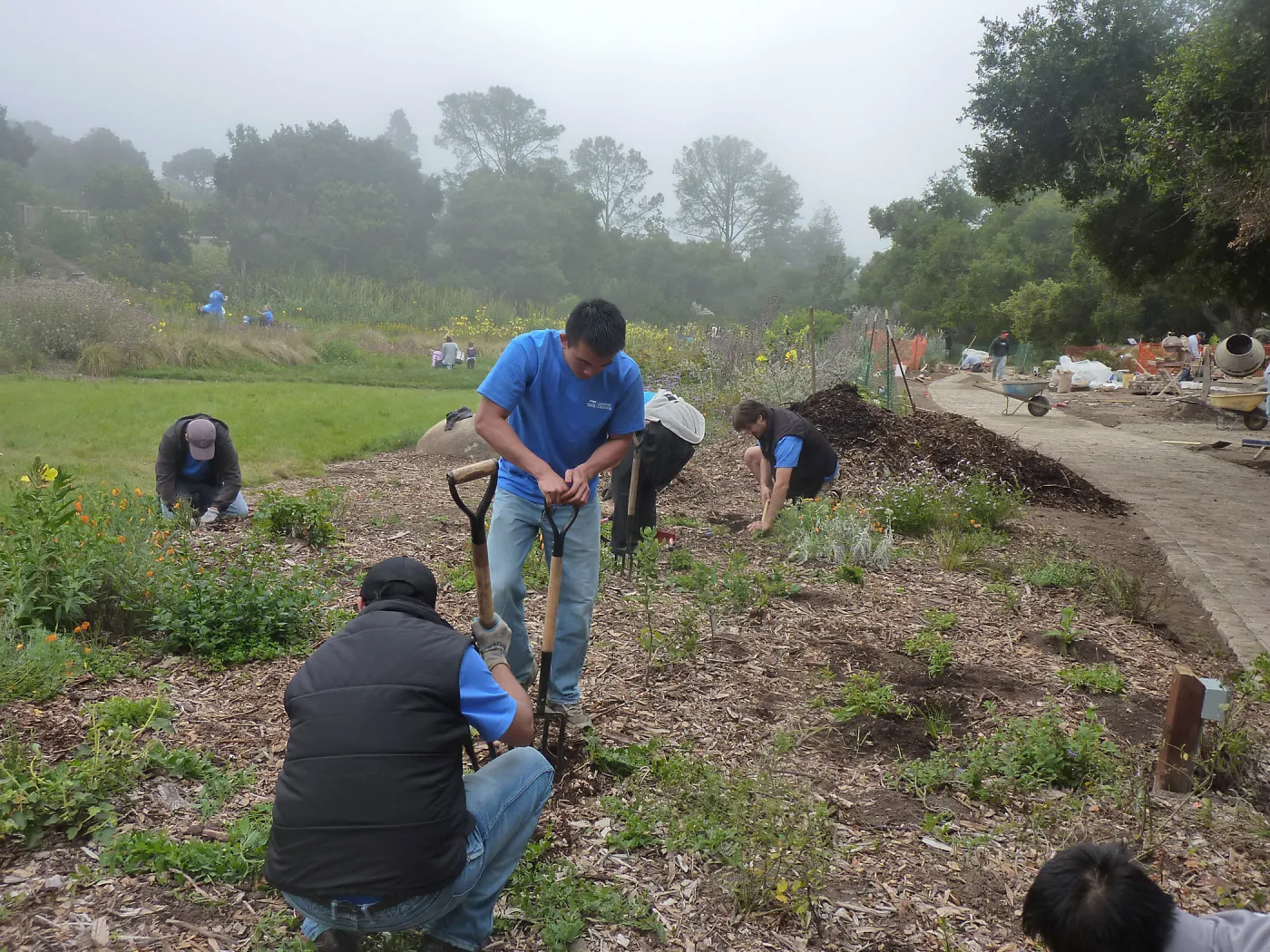 Volunteers from Citrix Corp