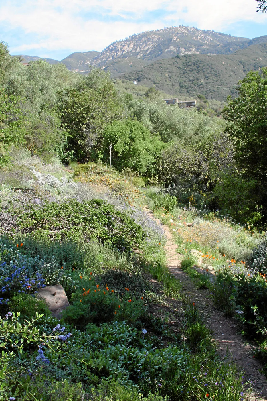 Porter Trail, Switch Back, North