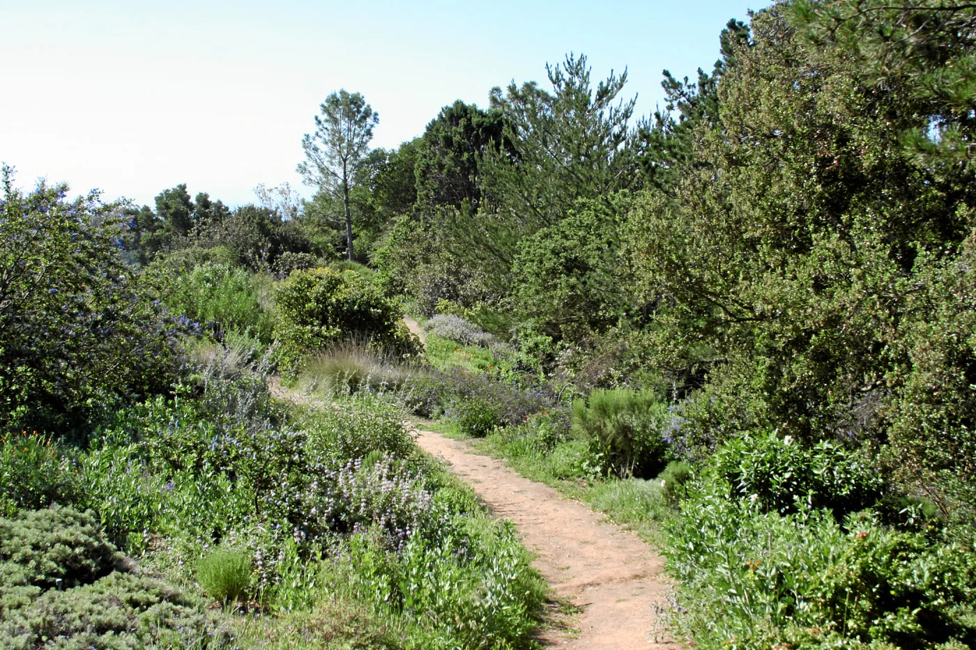 Porter Trail,West path, south
