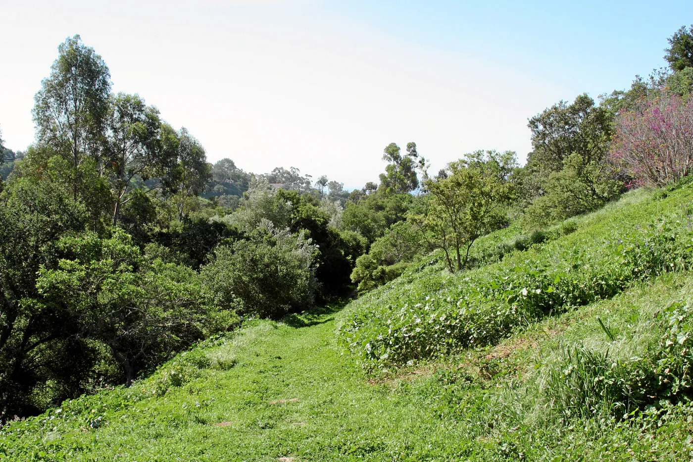 Porter Trail, East slope, south, lower path
