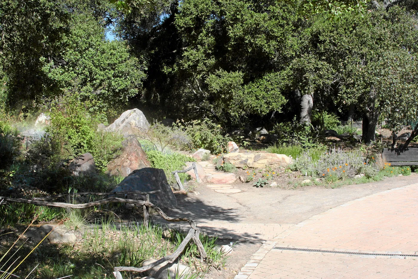 Meadow,Main path, northwest