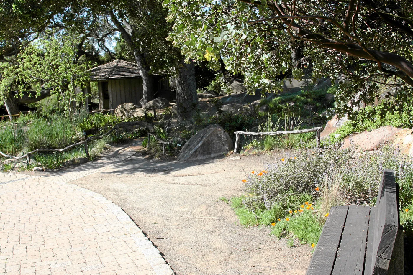 Meadow,Main path, southwest, looking towards kiosk