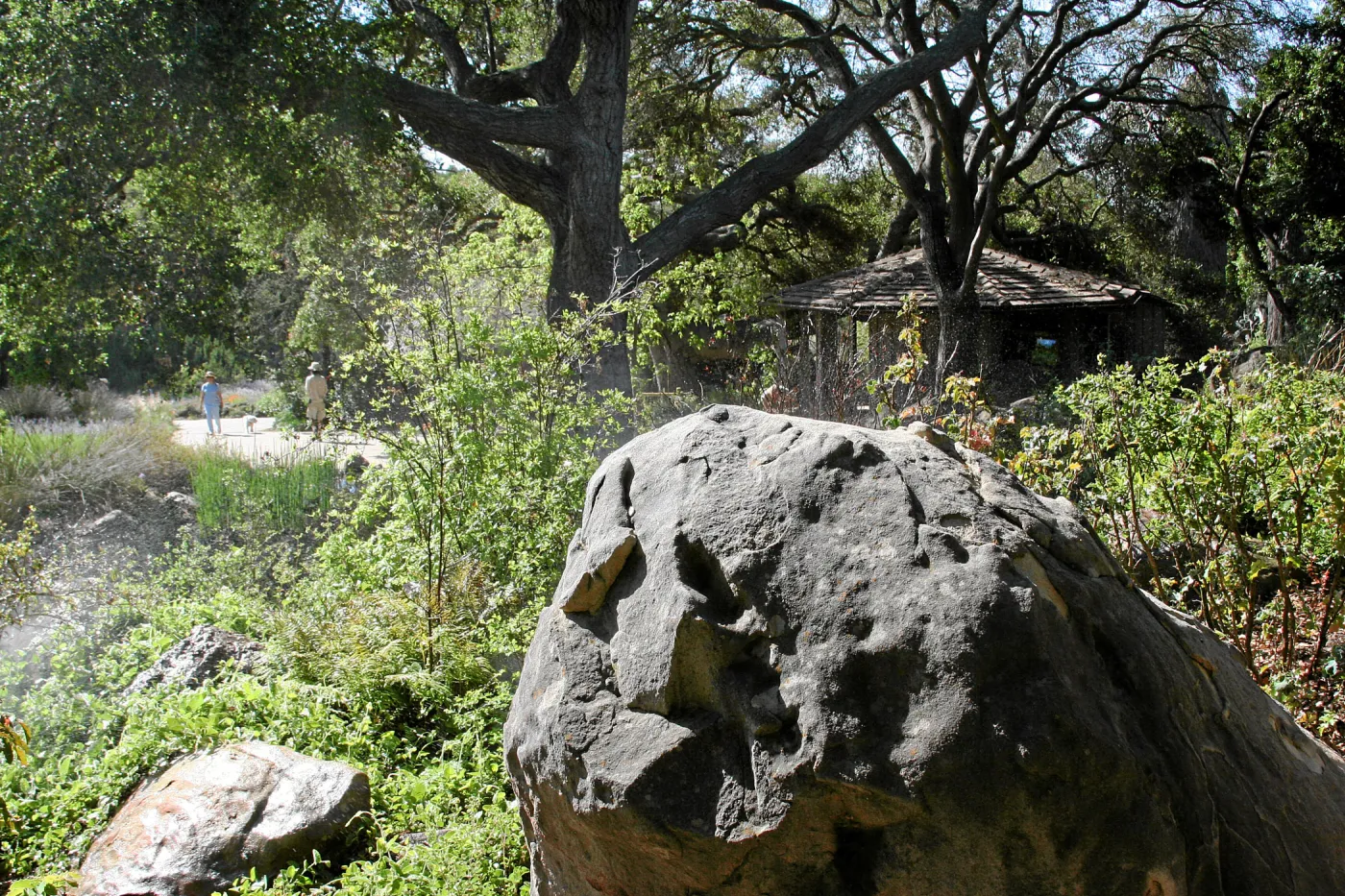 Brook,across display southeast