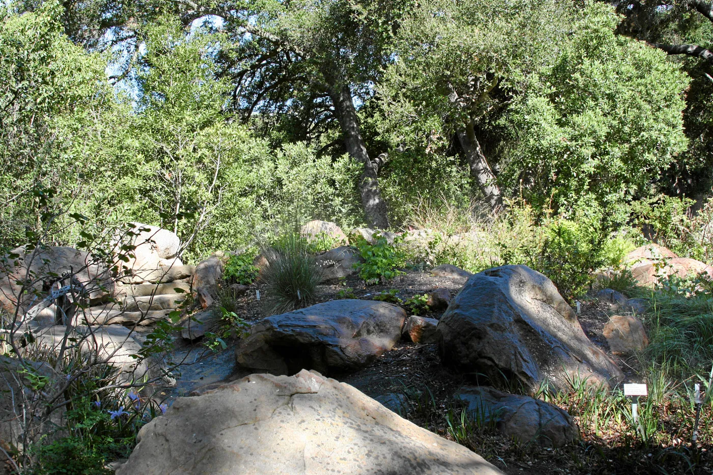 Meadow, main path west