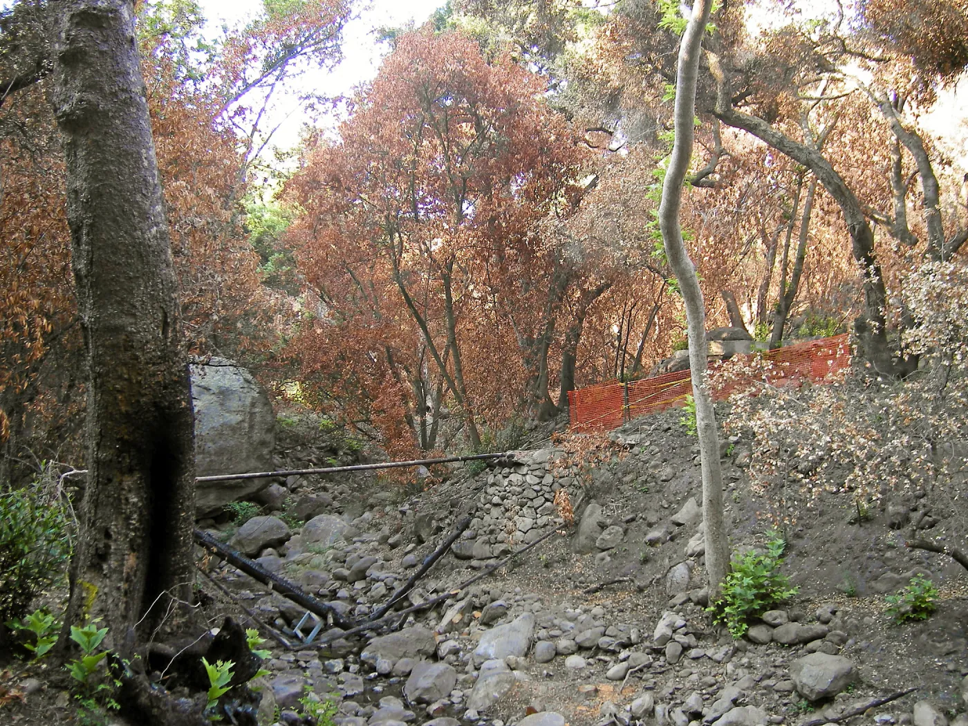 Fire damage, Campbell Bridge site