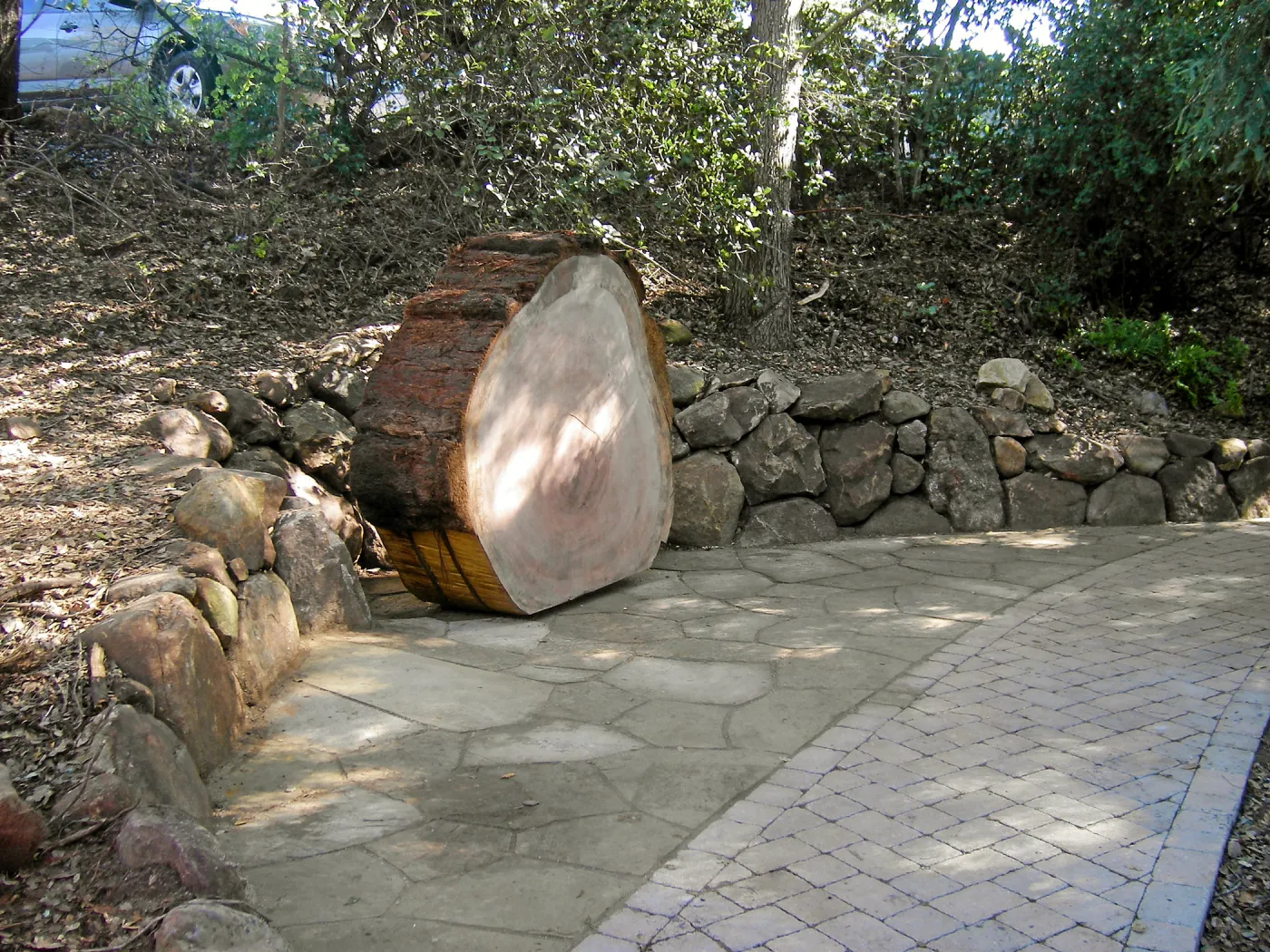 Redwood log in Arroyo Section