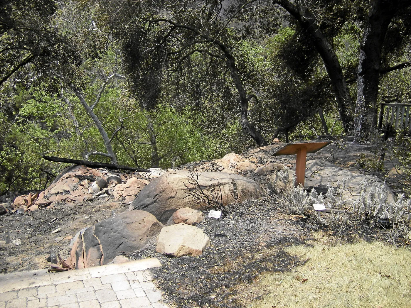 Jesusita Fire, damage to Home Demonstration Garden