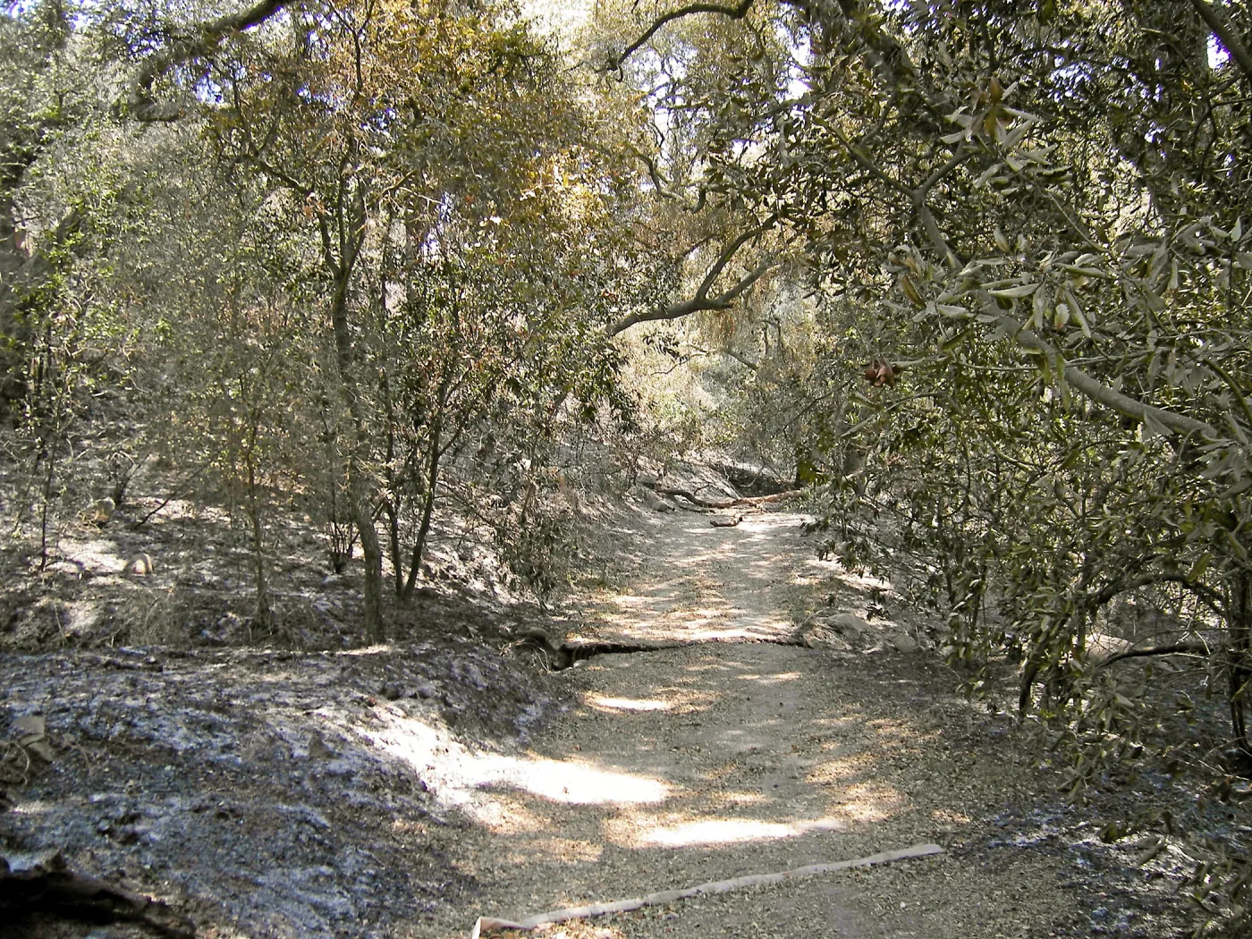 Jesusita Fire, damage in the Canyon