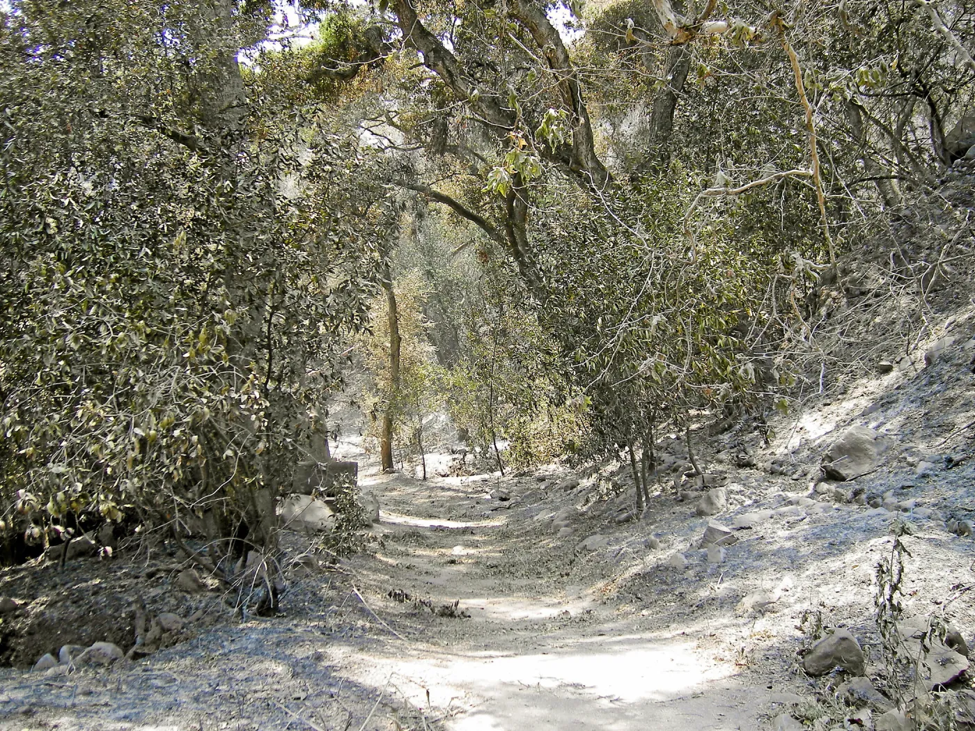 Jesusita Fire, damage in the Canyon