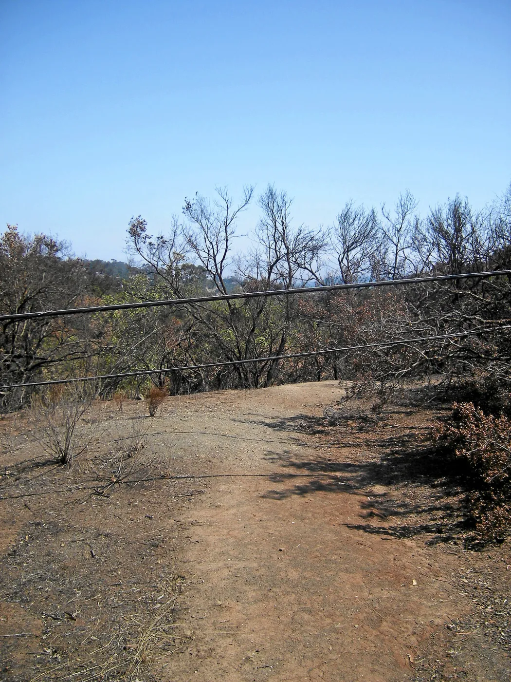 Jesusita Fire, Pritchett Trail