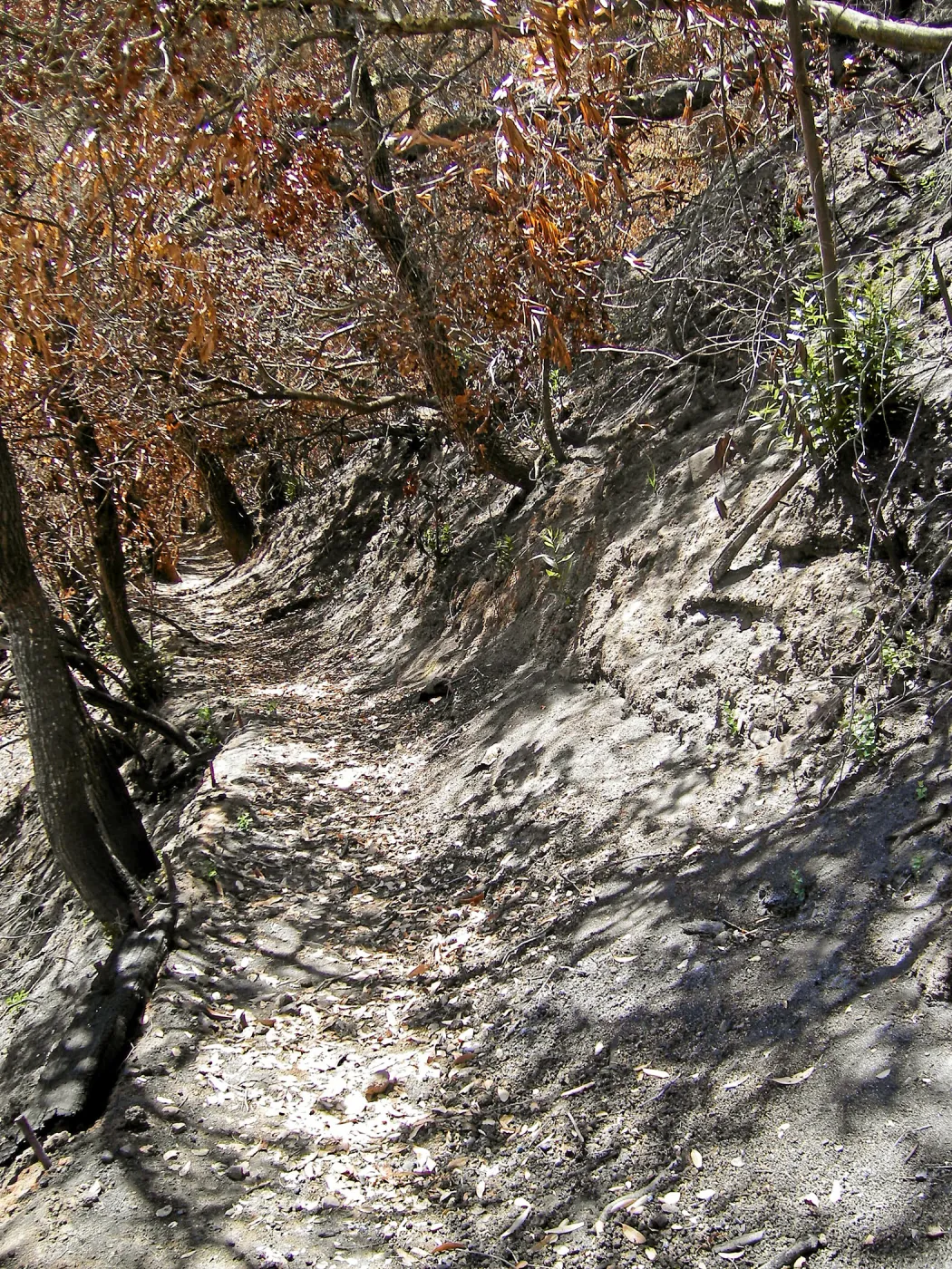 Erosion on the Pritchett Trail post Jesusita Fire