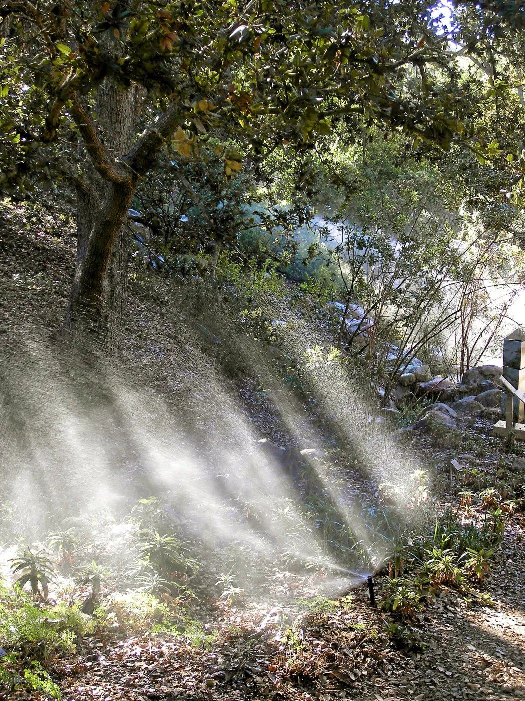 Irrigation press pictures