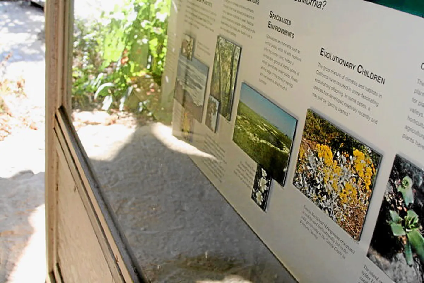 Information Kiosk, existing cabinets