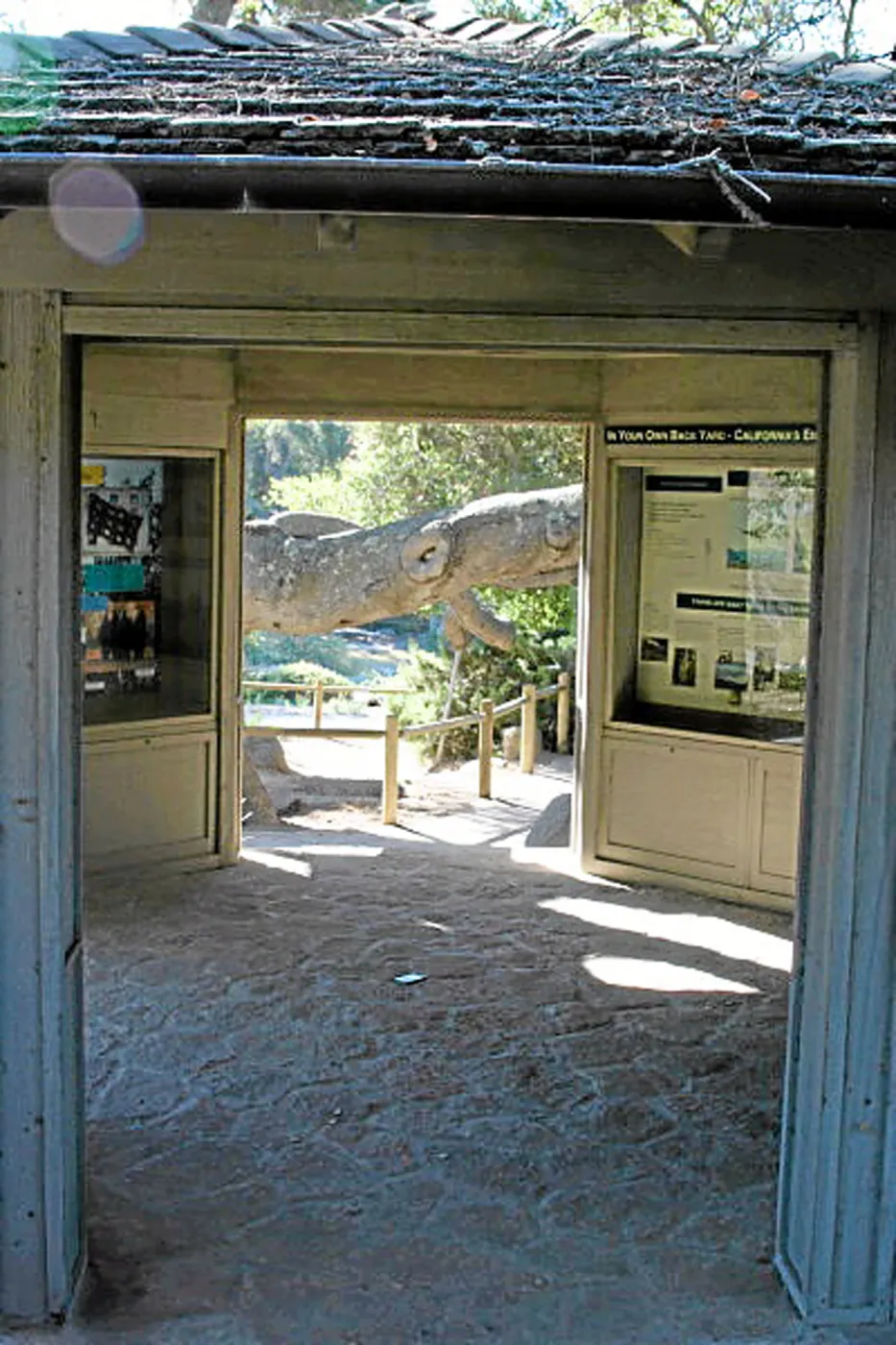 Information Kiosk, interior